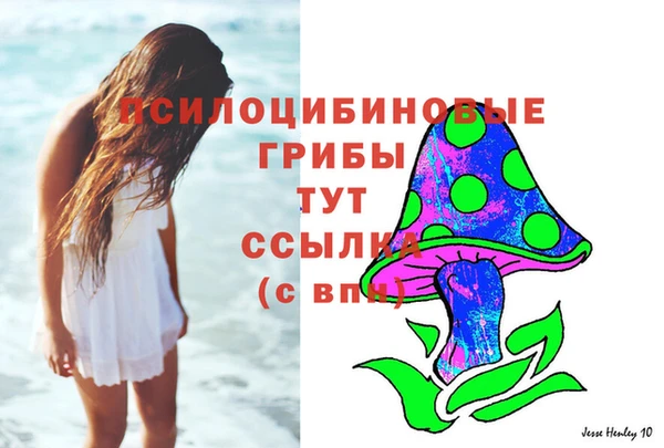 прущие грибы Алексеевка